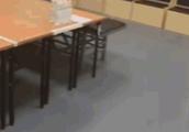 客场作战，八一队赛后自觉整理更衣室，获客队工作人员点赞，你怎么看？