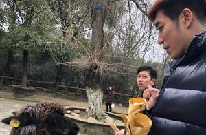 CBA球星窗口期：吴冠希去动物园，莫泰吴轲看海，郭艾伦胯下扣篮