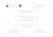 今年NBA的东决和西决，大家有何预测？